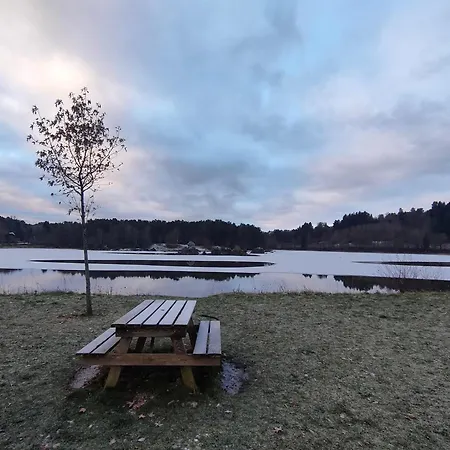 En Rc Au Bord Du * 艾达